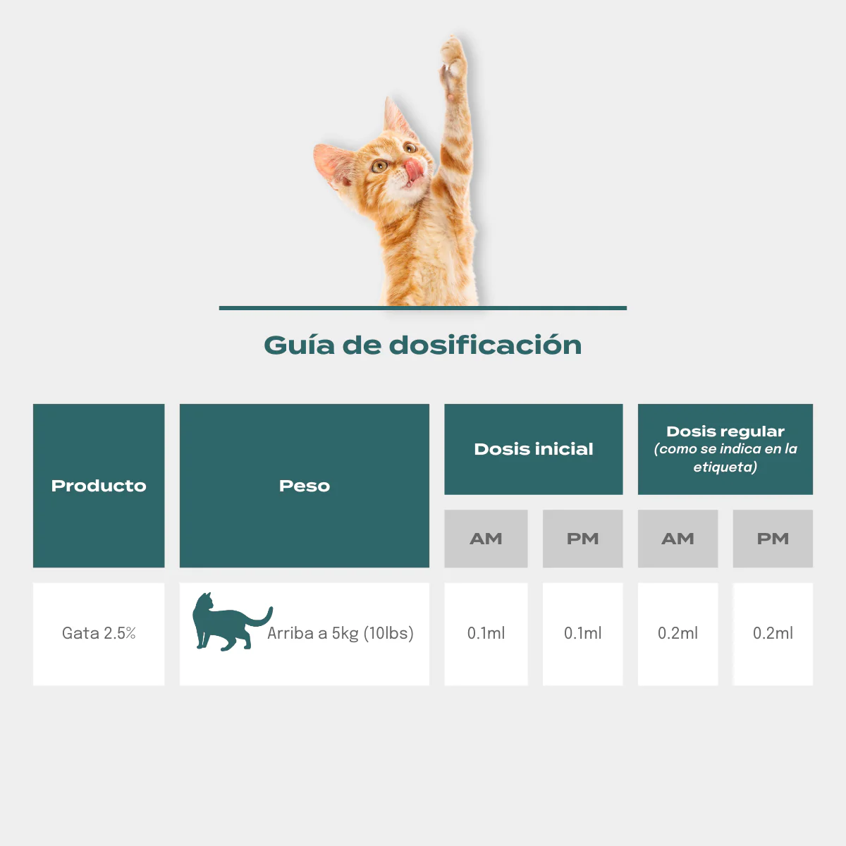 Aceite de CBD para gatos - Image 3