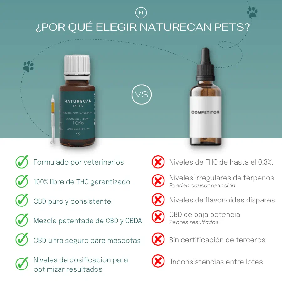 Aceite de CBD para gatos - Image 5