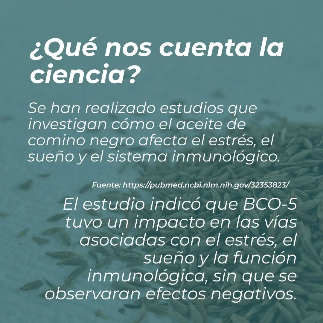 Aceite de comino negro - Image 4