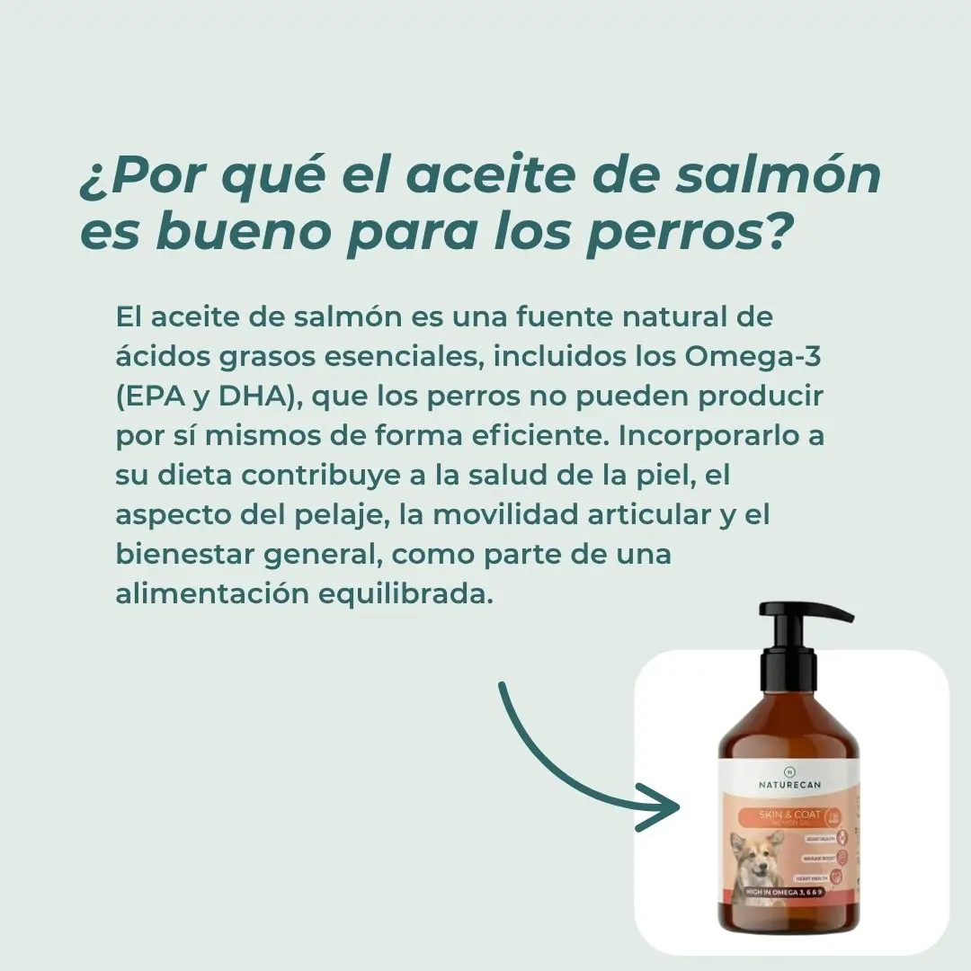 Aceite de salmón para perros - Image 4