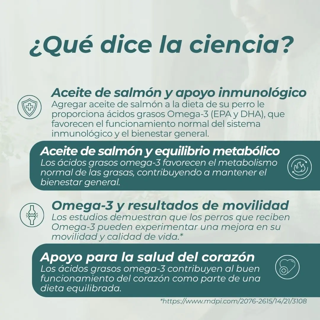 Aceite de salmón para perros - Image 5