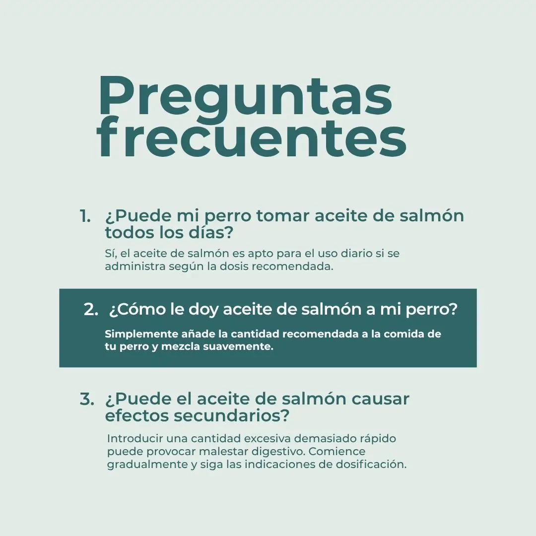 Aceite de salmón para perros - Image 7
