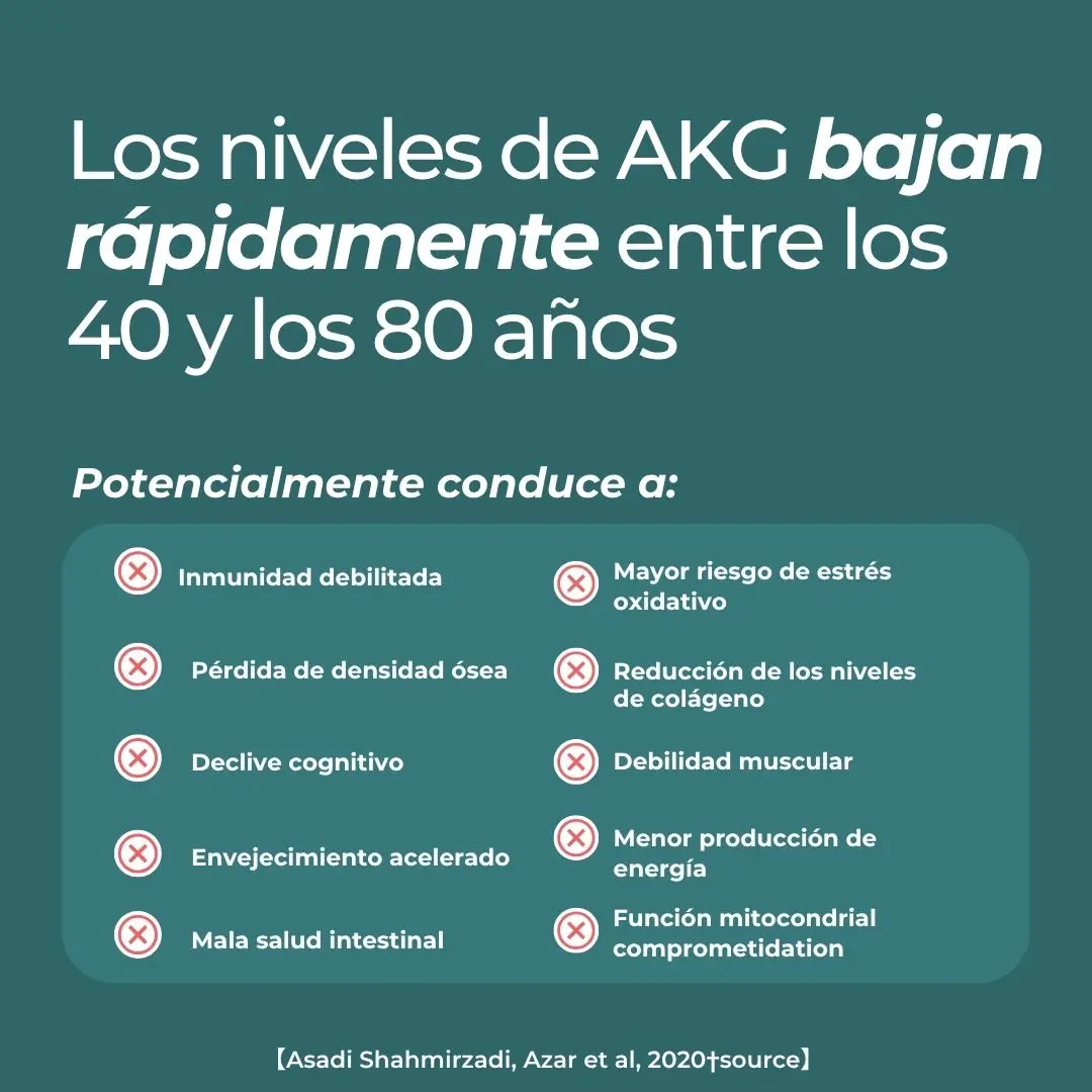 Alfa-cetoglutarato cálcico (Ca-AKG) - Image 6