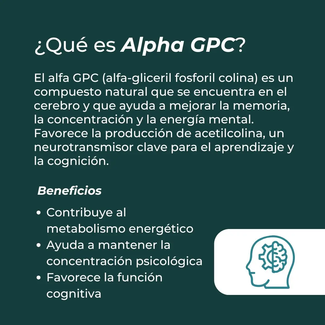 Alpha GPC - Image 3