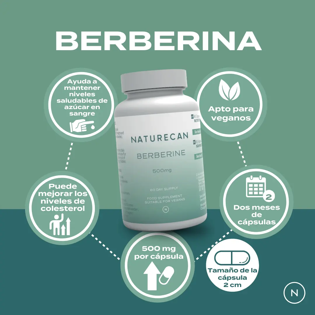 Berberina - Image 6