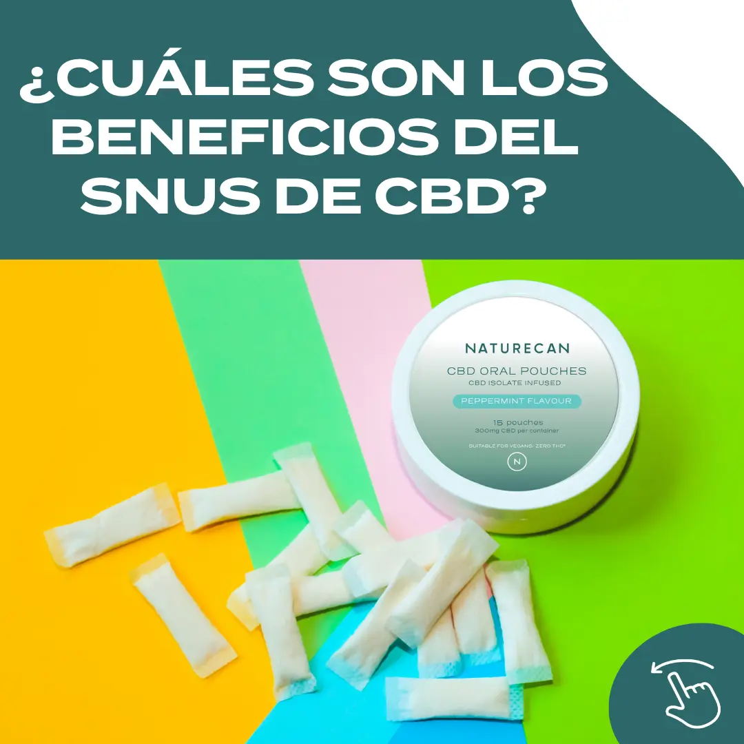 Bolsitas snus de CBD - Image 3