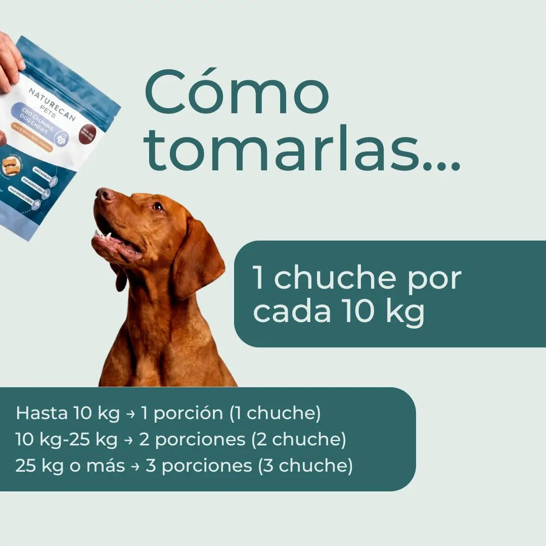 Chuches CBD relajantes para perros - Image 10