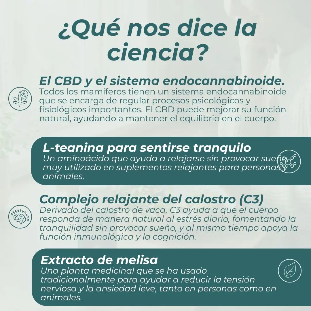 Chuches CBD relajantes para perros - Image 9