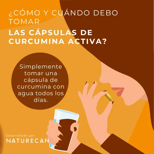 Curcumina Activa - Image 7