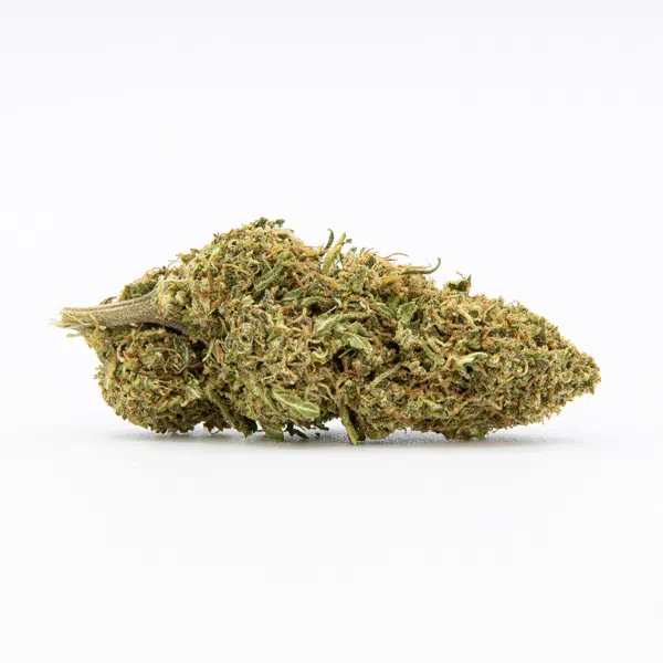 Flores CBD Gelato - Image 3