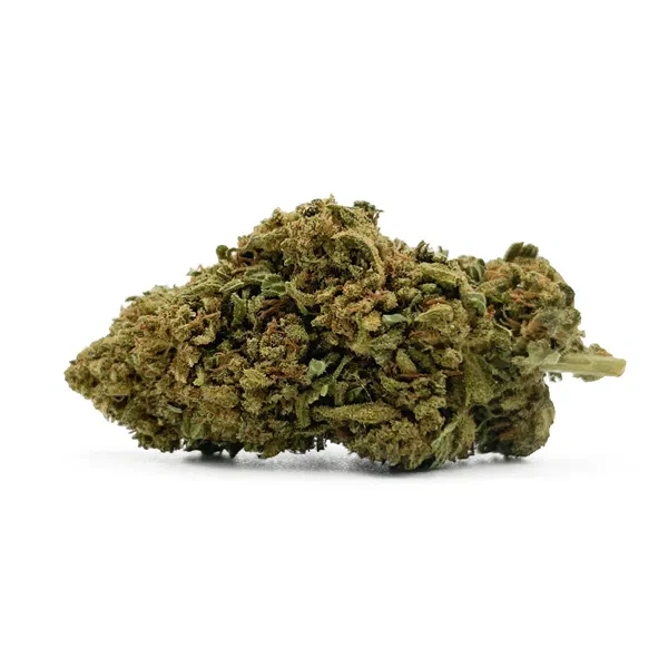 Flores CBD Mango Kush - Image 3