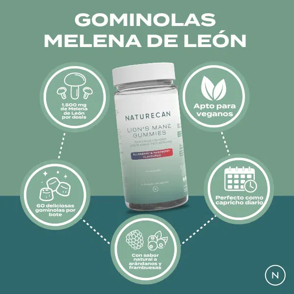 Gominolas melena de león - Image 5