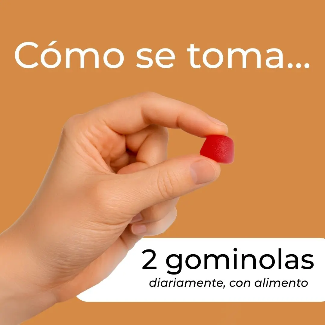 Gominolas de Reishi - Image 5