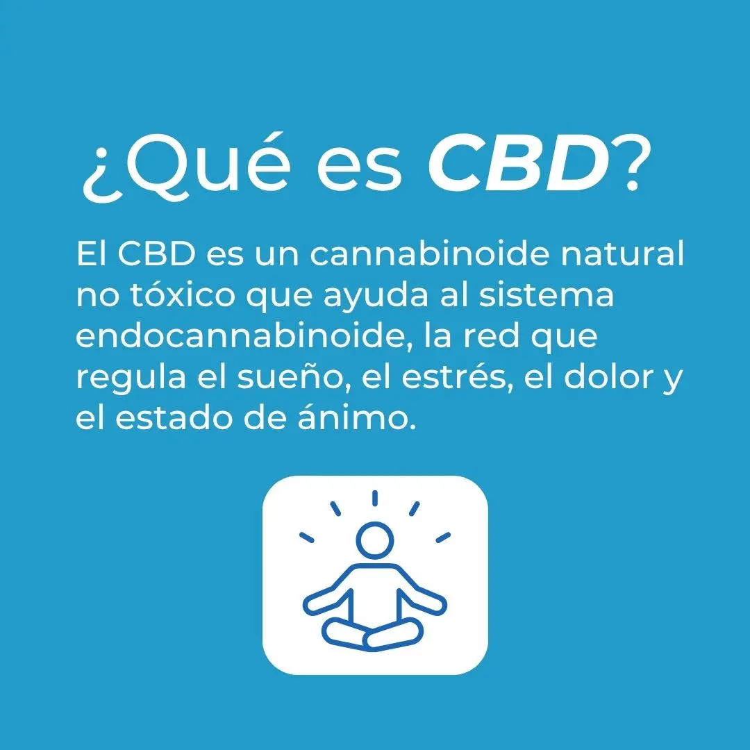 Gominolas relajantes de Ashwagandha con CBD - Image 6