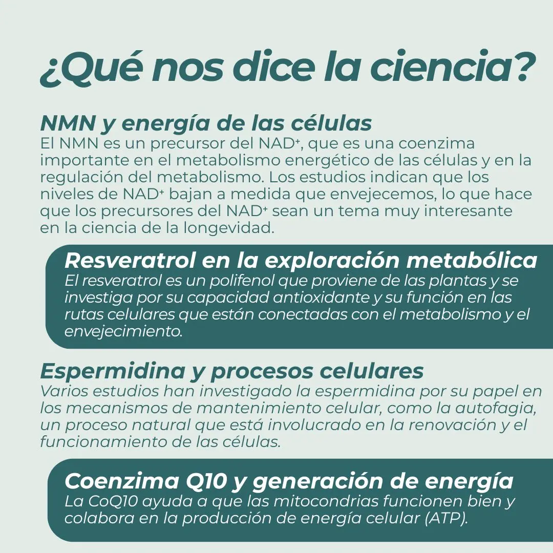 Complemento Alimenticio Longevidad - Image 7