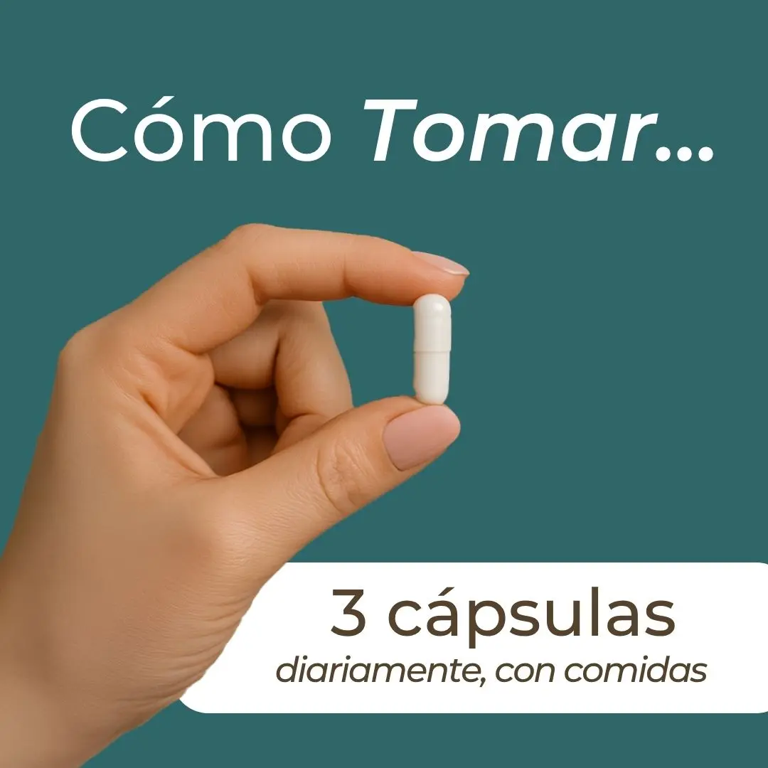 Multivitamínico - Image 5