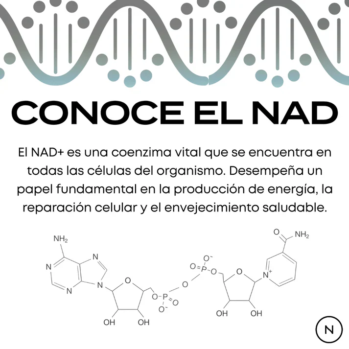 NMN Cápsulas | potenciador de NAD+ - Image 6