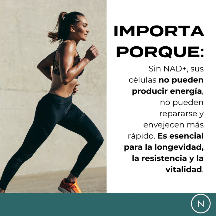 NMN Cápsulas | potenciador de NAD+ - Image 7