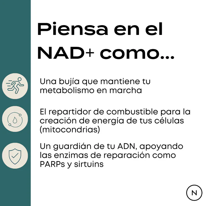 NMN Cápsulas | potenciador de NAD+ - Image 8