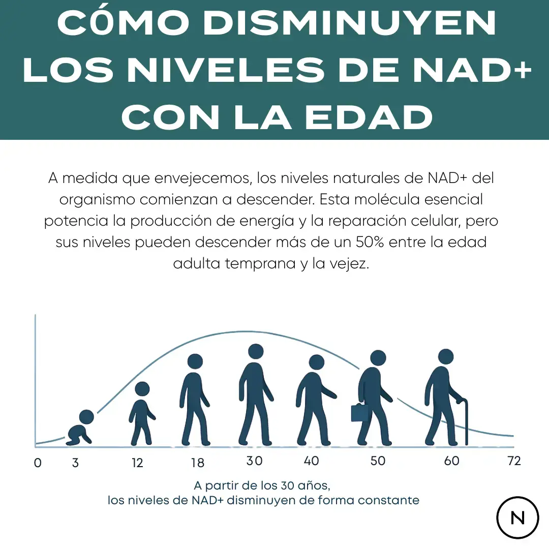 NMN Cápsulas | potenciador de NAD+ - Image 9