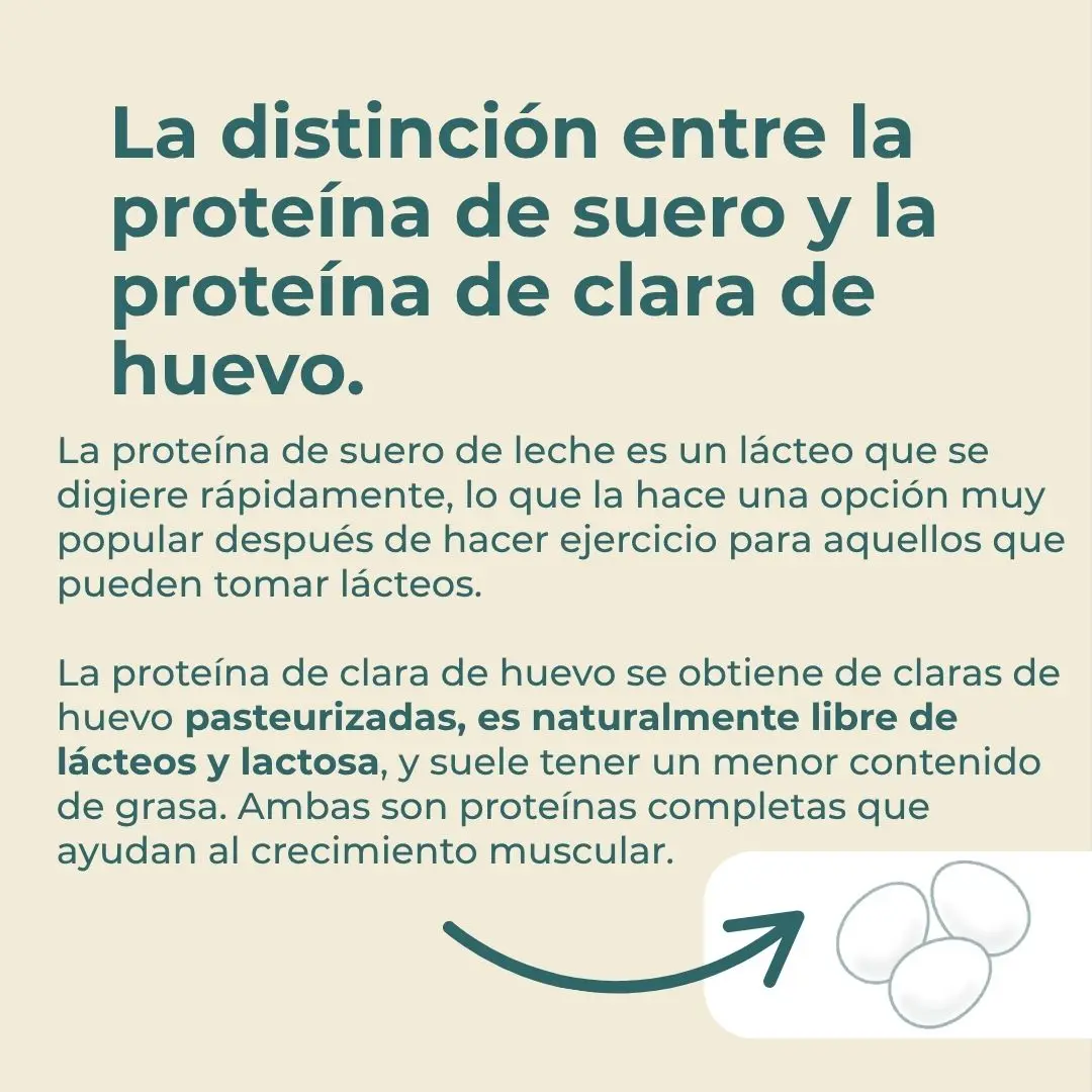 Proteína de clara de huevo - Image 6