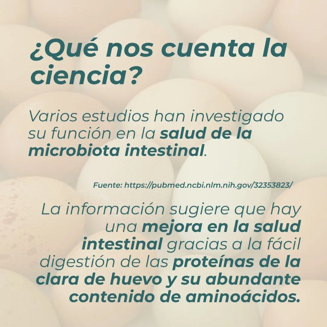 Proteína de clara de huevo - Image 7