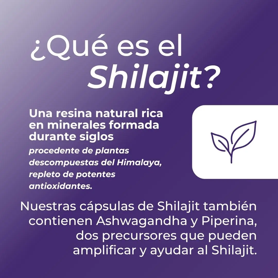 Shilajit en cápsulas - Image 3
