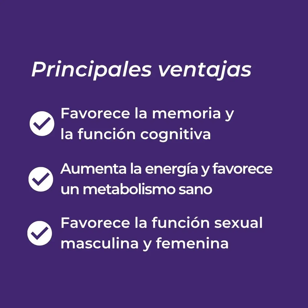 Shilajit en cápsulas - Image 4