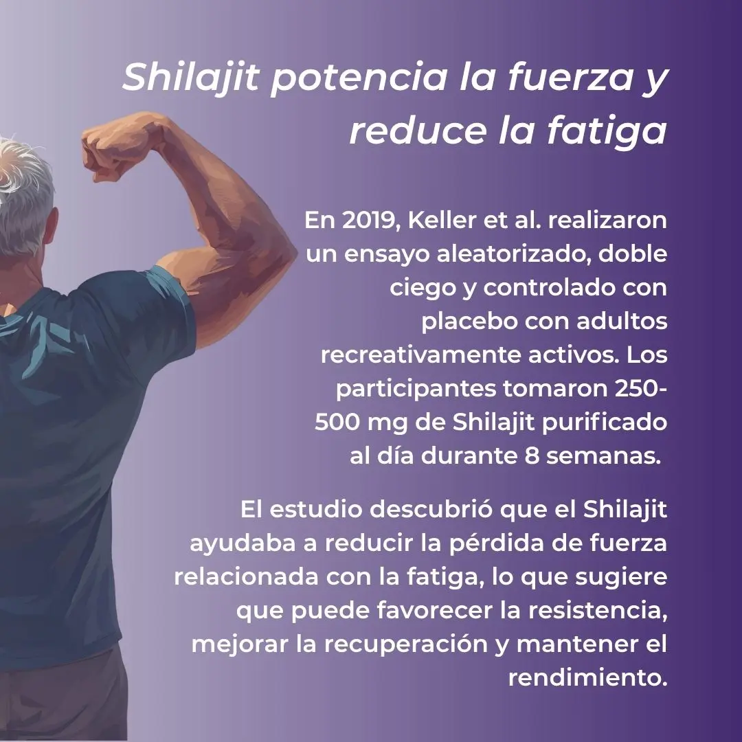Shilajit en cápsulas - Image 6