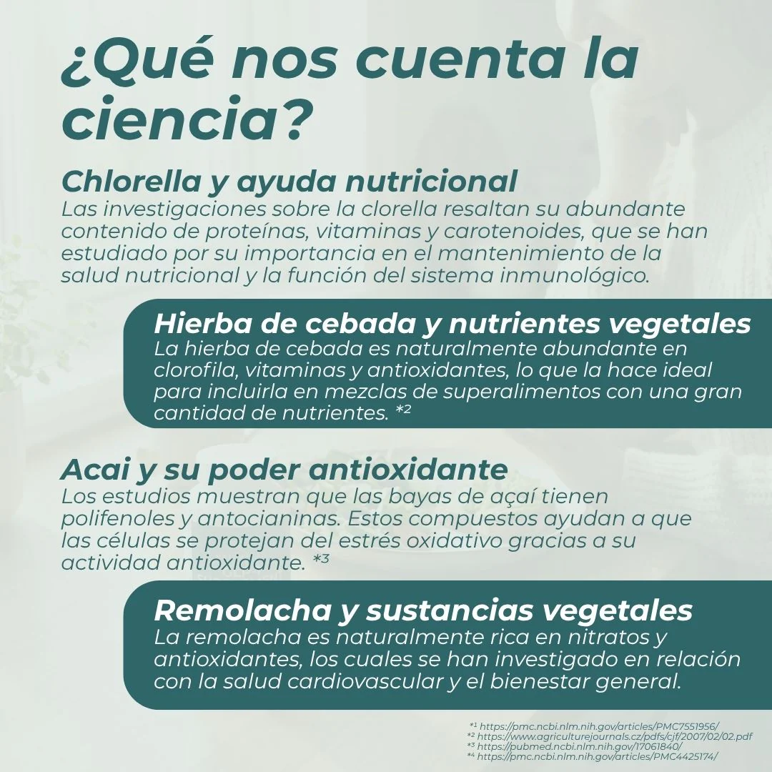 Superalimento en polvo - Image 5
