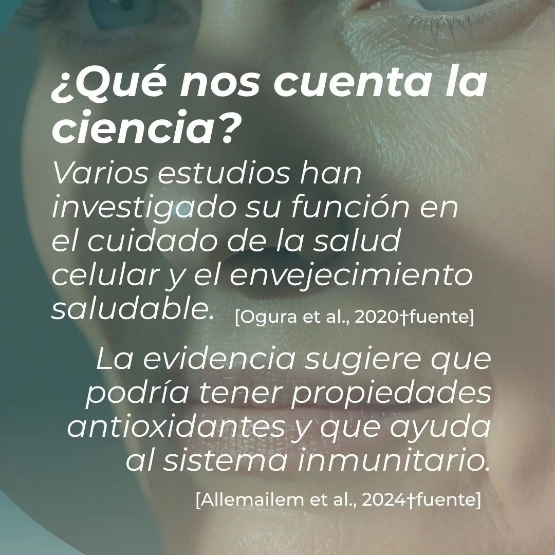 Suplemento de apigenina - Image 4