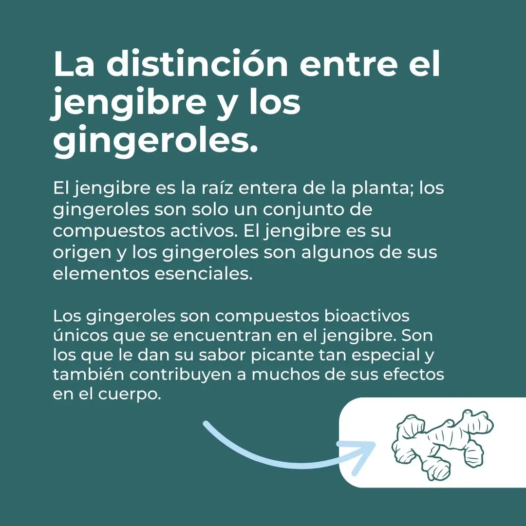Suplemento de jengibre orgánico - Image 3