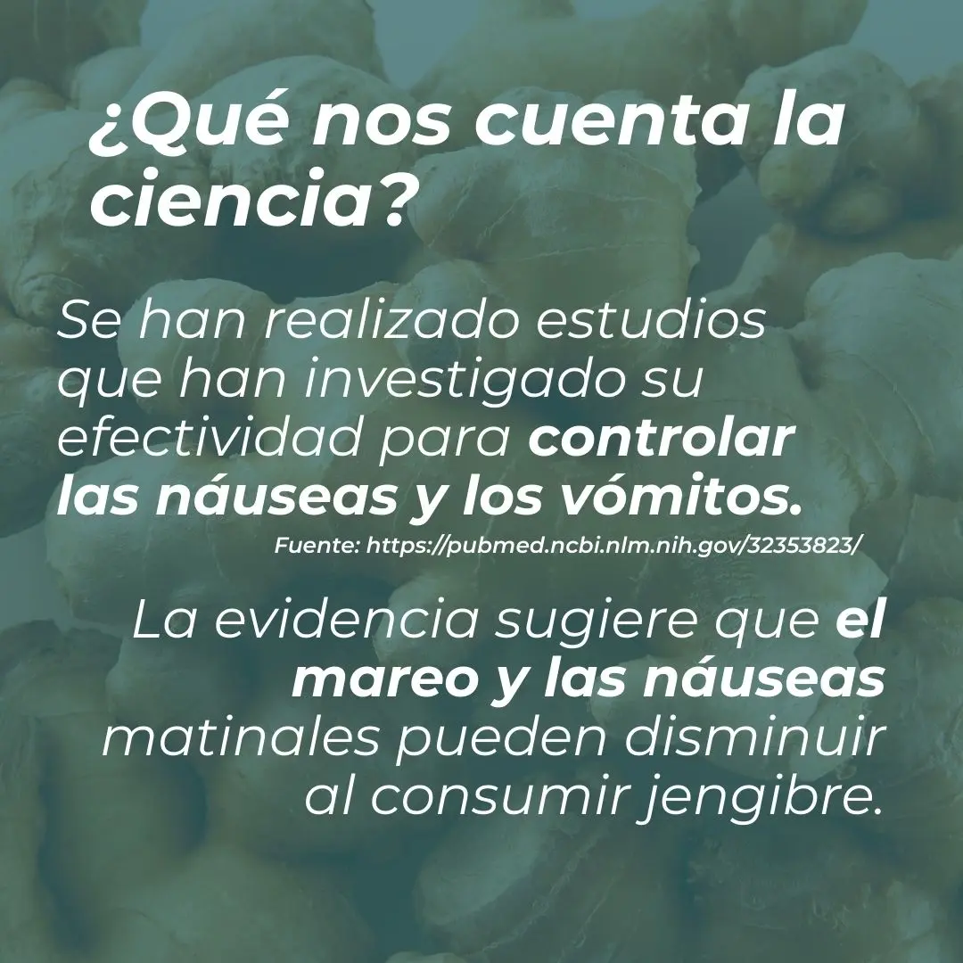 Suplemento de jengibre orgánico - Image 4