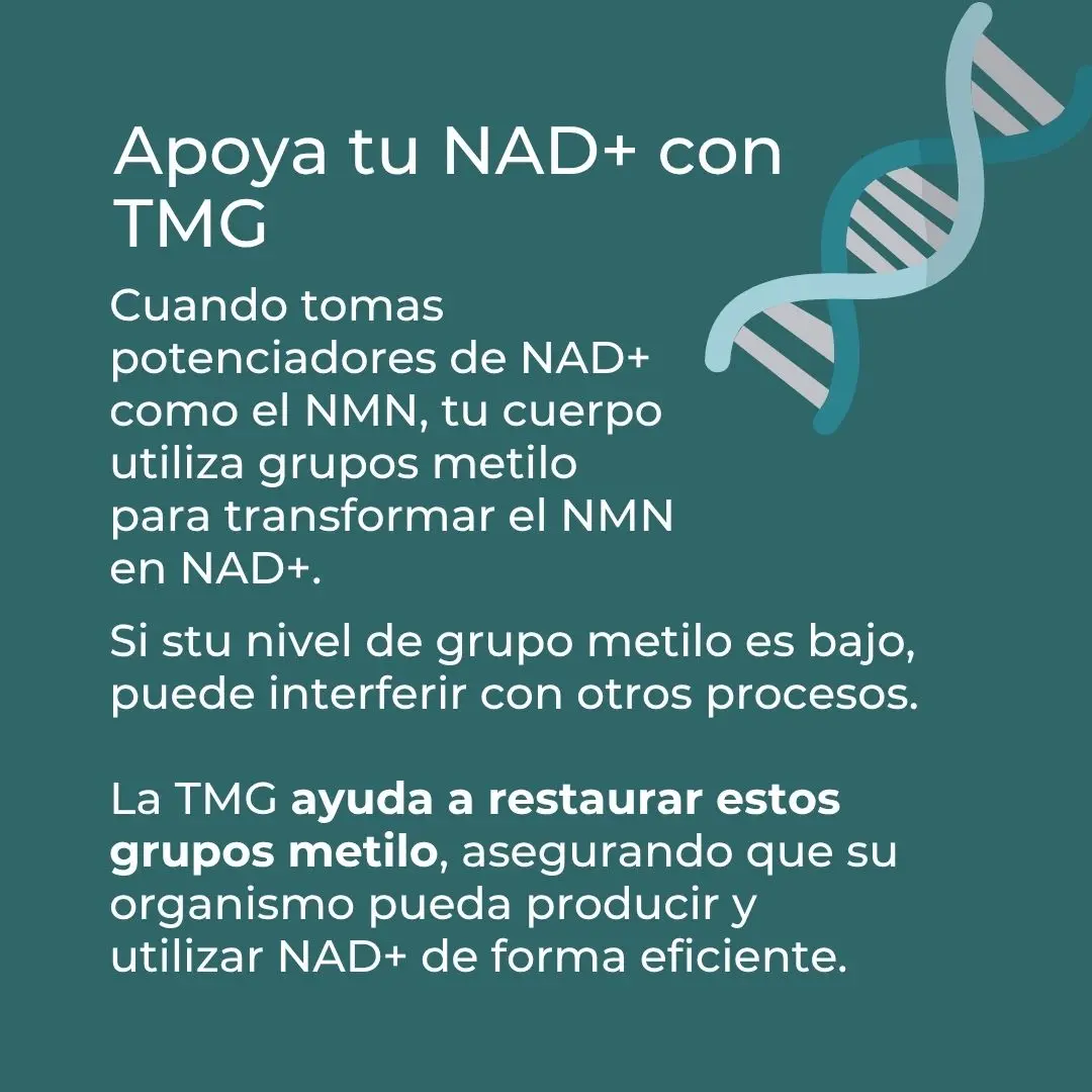 Suplemento TMG - Image 3