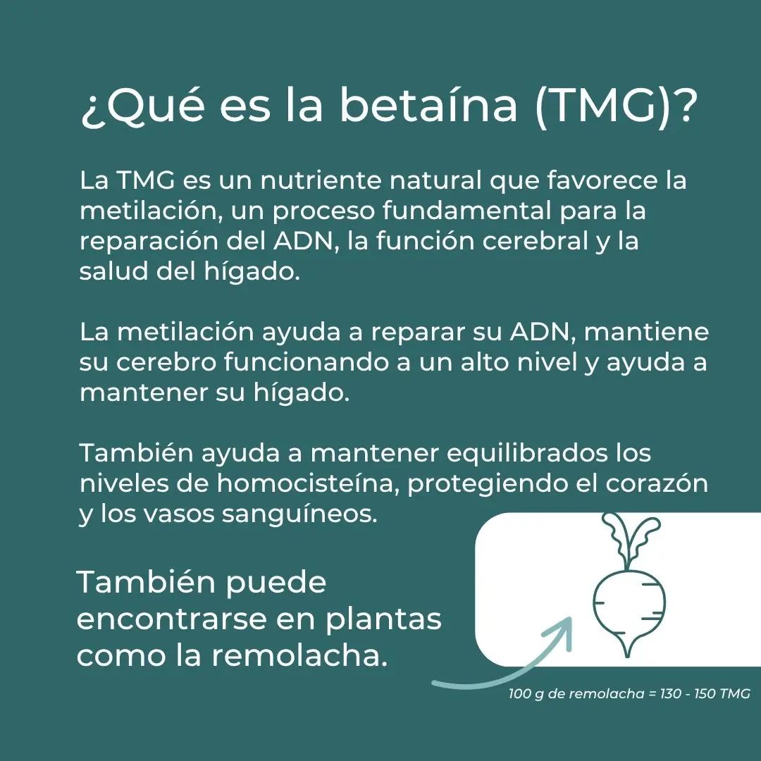 Suplemento TMG - Image 4