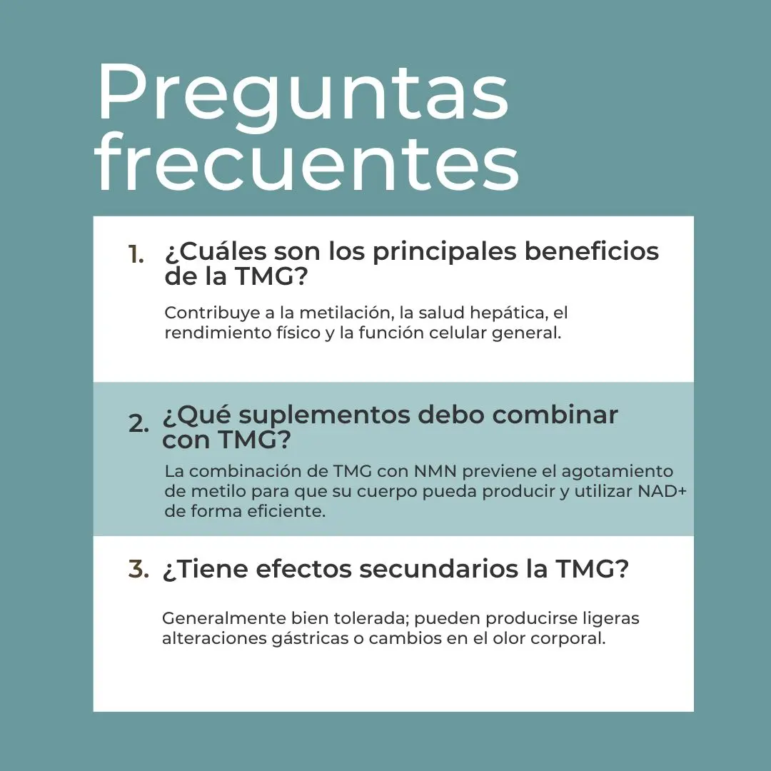 Suplemento TMG - Image 6