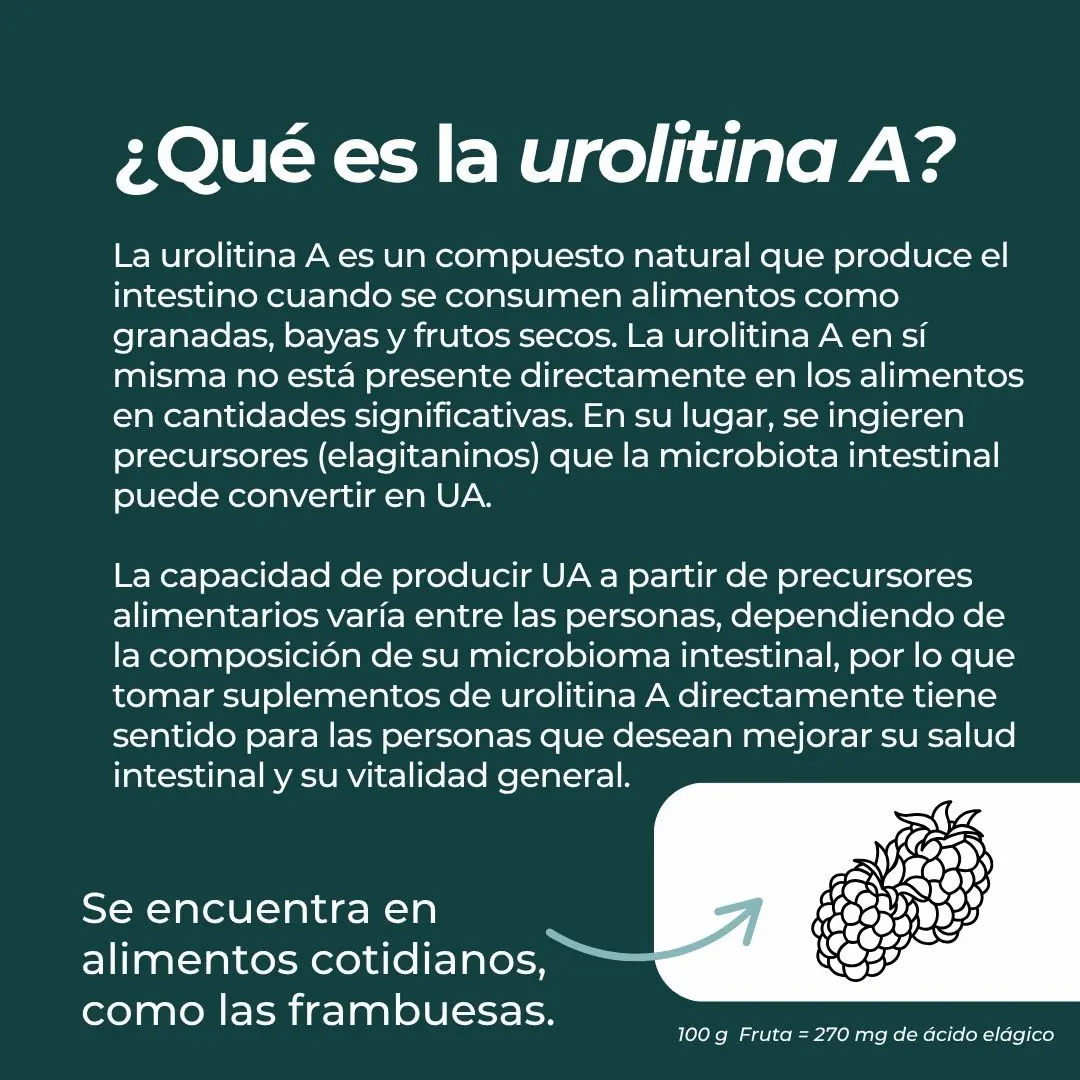 Urolitina A - Image 3
