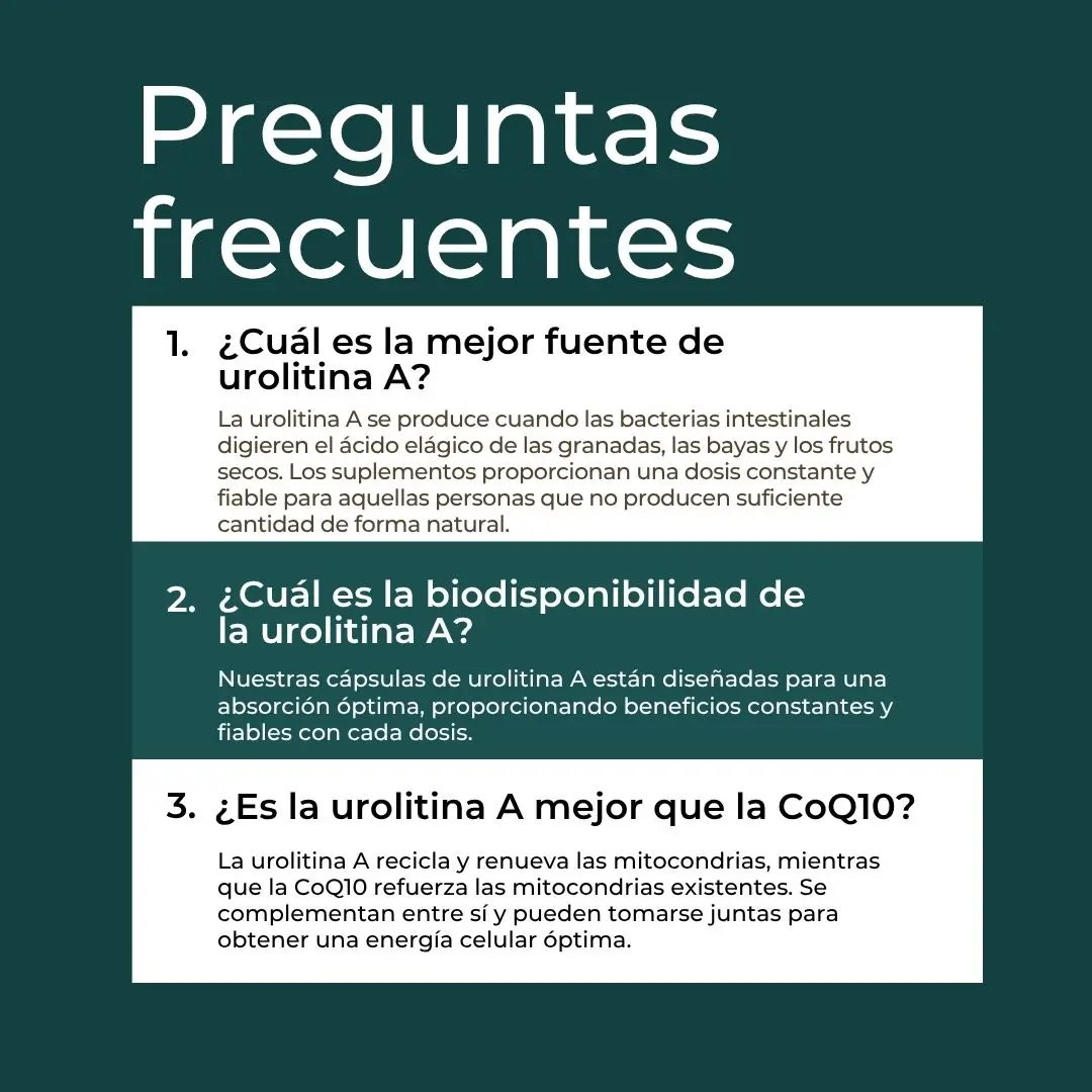 Urolitina A - Image 7